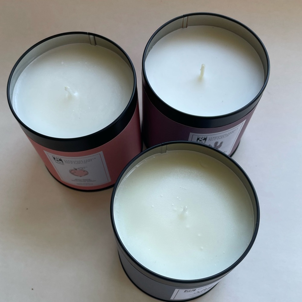 Scented Candle 3 Piece Set - 12oz Farmhouse Tin Place & Time - Picture 2 of 8
